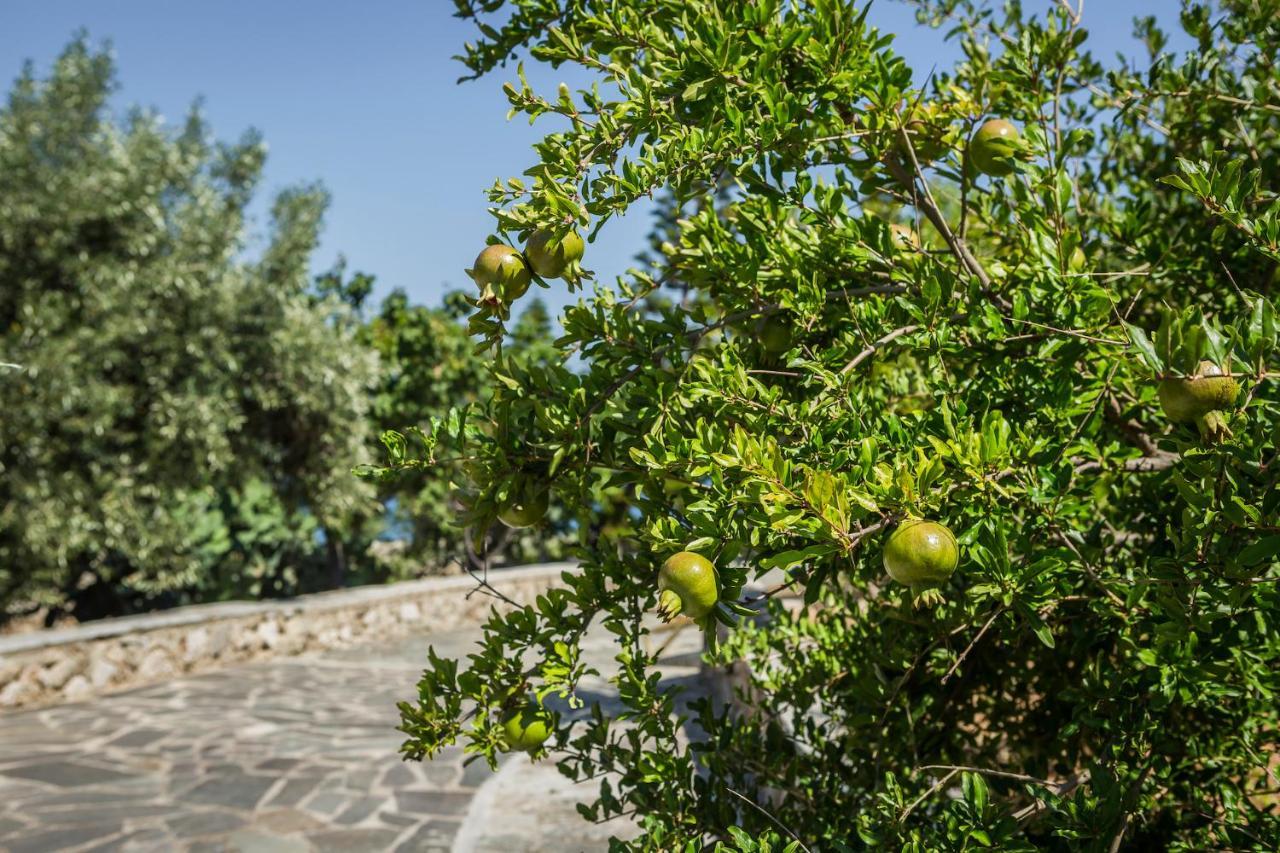 Ploes Luxury Cottages Πεσάδα Εξωτερικό φωτογραφία
