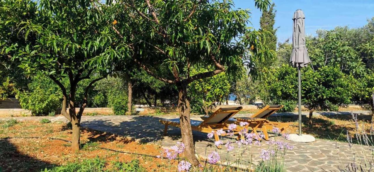 Ploes Luxury Cottages Πεσάδα Εξωτερικό φωτογραφία