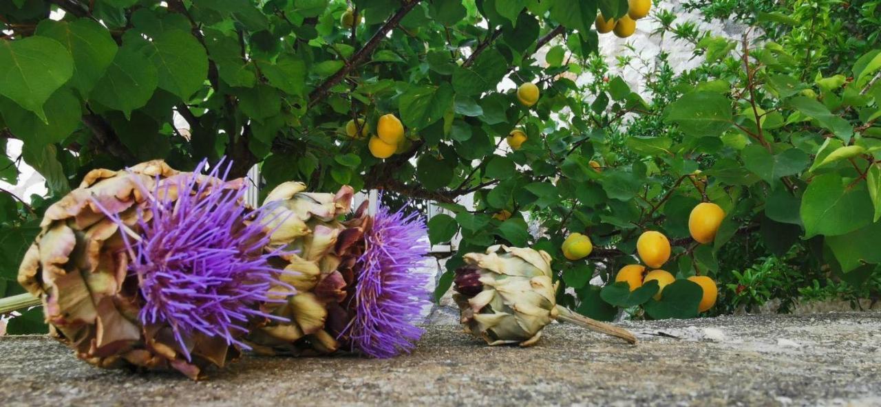 Ploes Luxury Cottages Πεσάδα Εξωτερικό φωτογραφία