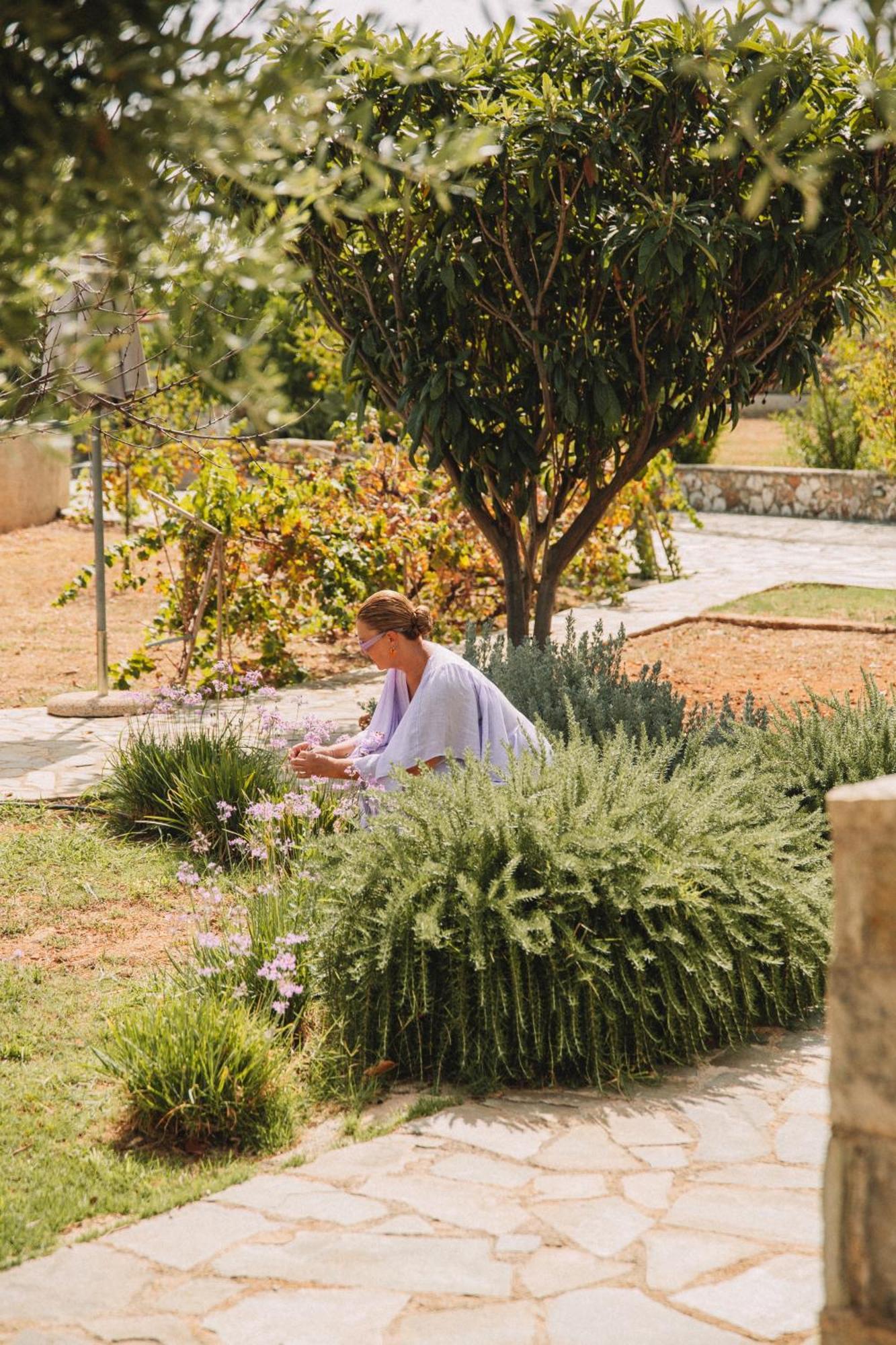 Ploes Luxury Cottages Πεσάδα Εξωτερικό φωτογραφία