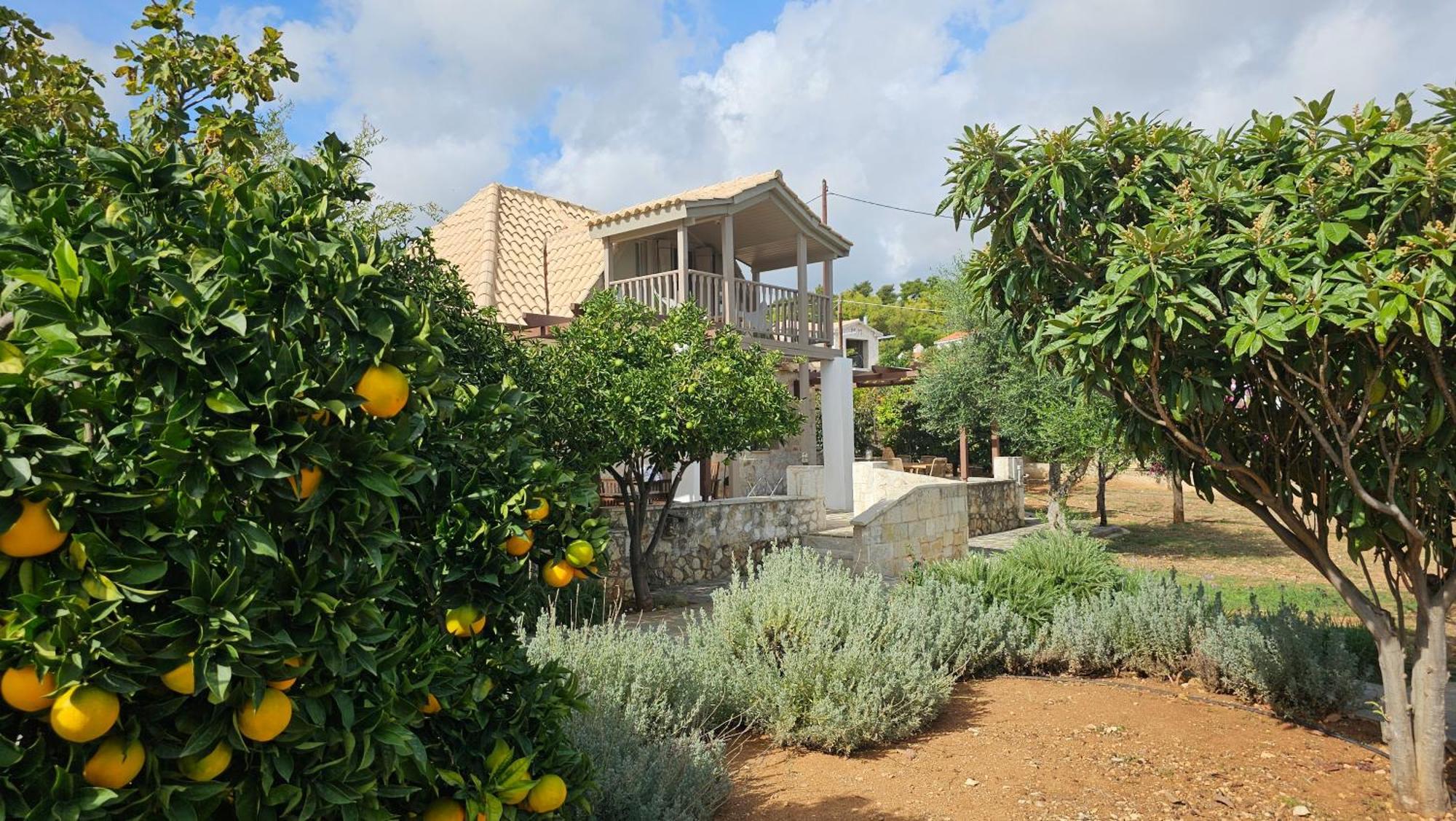 Ploes Luxury Cottages Πεσάδα Εξωτερικό φωτογραφία